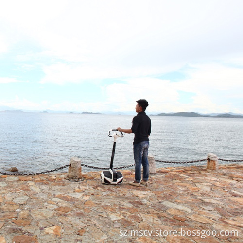 Inmotion Sensor Controlled Vehicle